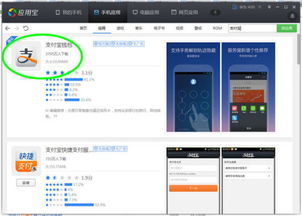 支付寶軟件無法打開？顯示“無法啟動該應用”的常見原因與解決指南